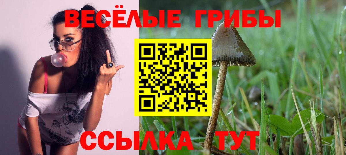 Галлюциногенные грибы мицелий Владивосток